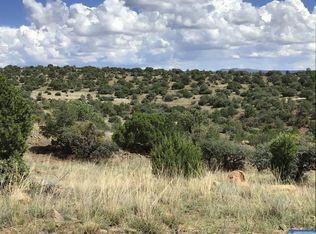 LOT 3 Highway 15, Silver City, NM 88061