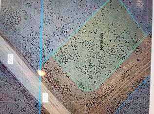 99 Concho Hwy, Concho, AZ 85924