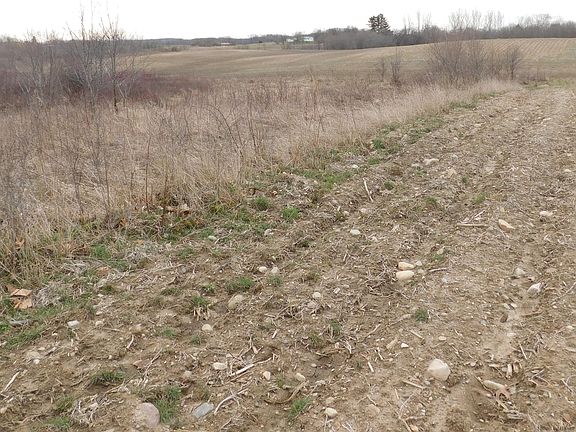 3rd image of Cox Rd