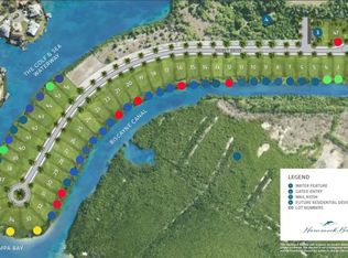 47 Hammock View Ln, Apollo Beach, FL 33572