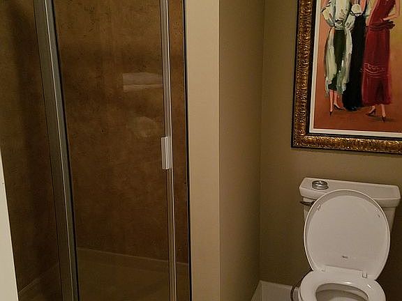 Master Shower/toilet area