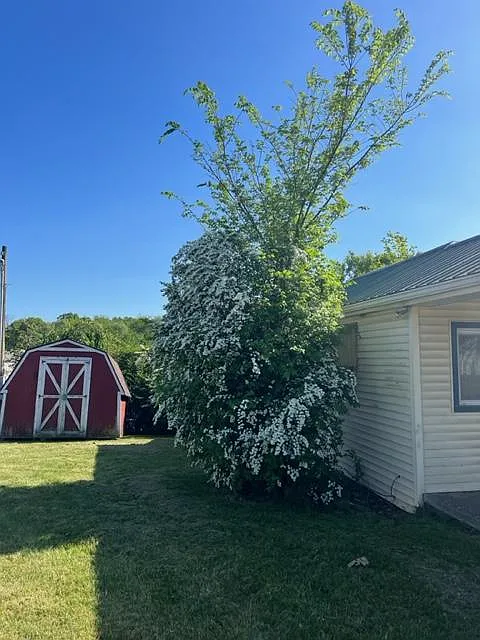 3 bed, 1040 sqft, $1,000 — Photo 3