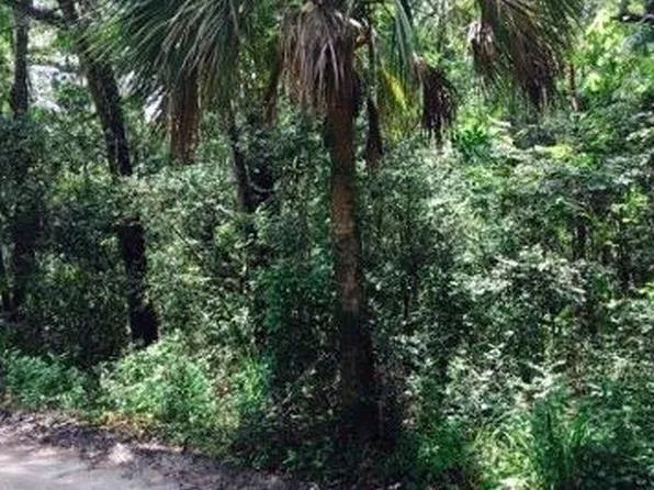 97055 Chester River Rd, Fernandina Beach, FL 32097