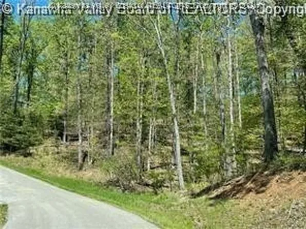 14 Stoney Creek Dr, Ripley, WV 25271