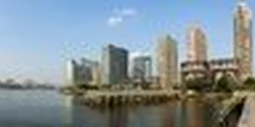 Rented by Bold New York