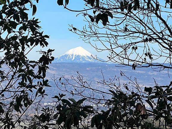 2nd image of 2091 Knowles Rd