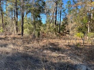 16091 SW 20th Ln Lot 14, Ocala, FL 34481