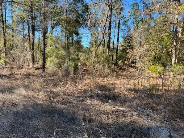 16091 SW 20TH LANE LOT 14, OCALA, FL 34481