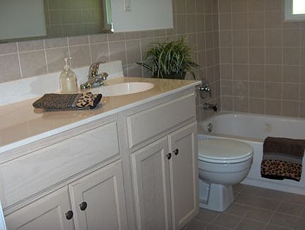 Updated bath