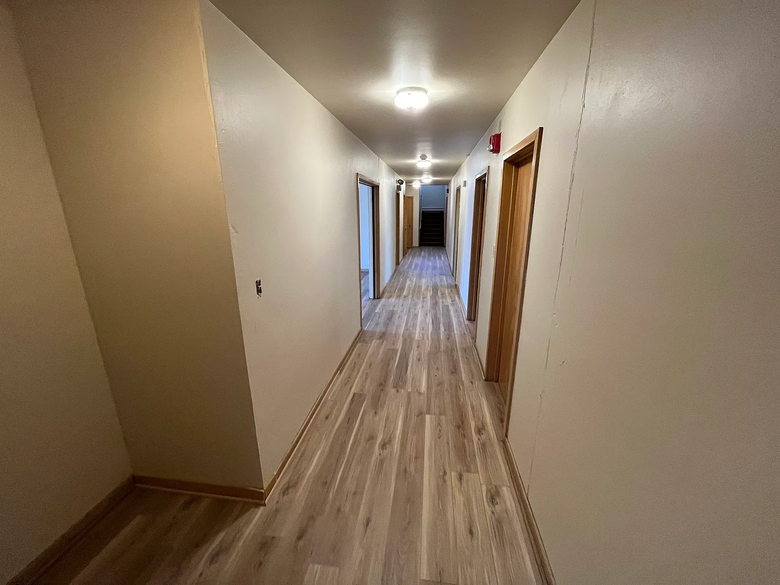 The Pines — Photo 3