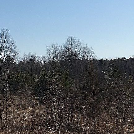 3rd image of 60-62 Cooper Dr