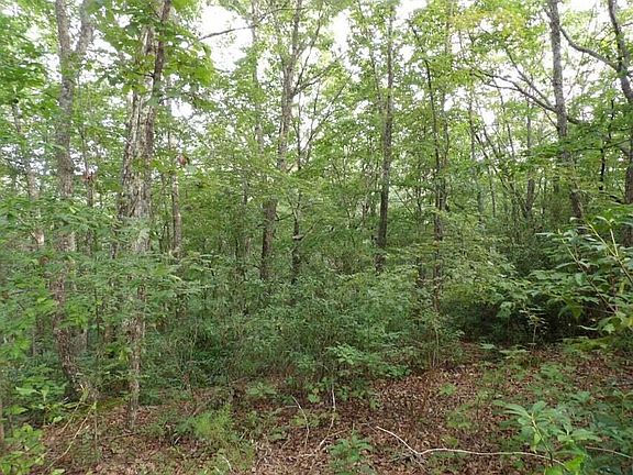 5th image of 0 W Creek Dr #18