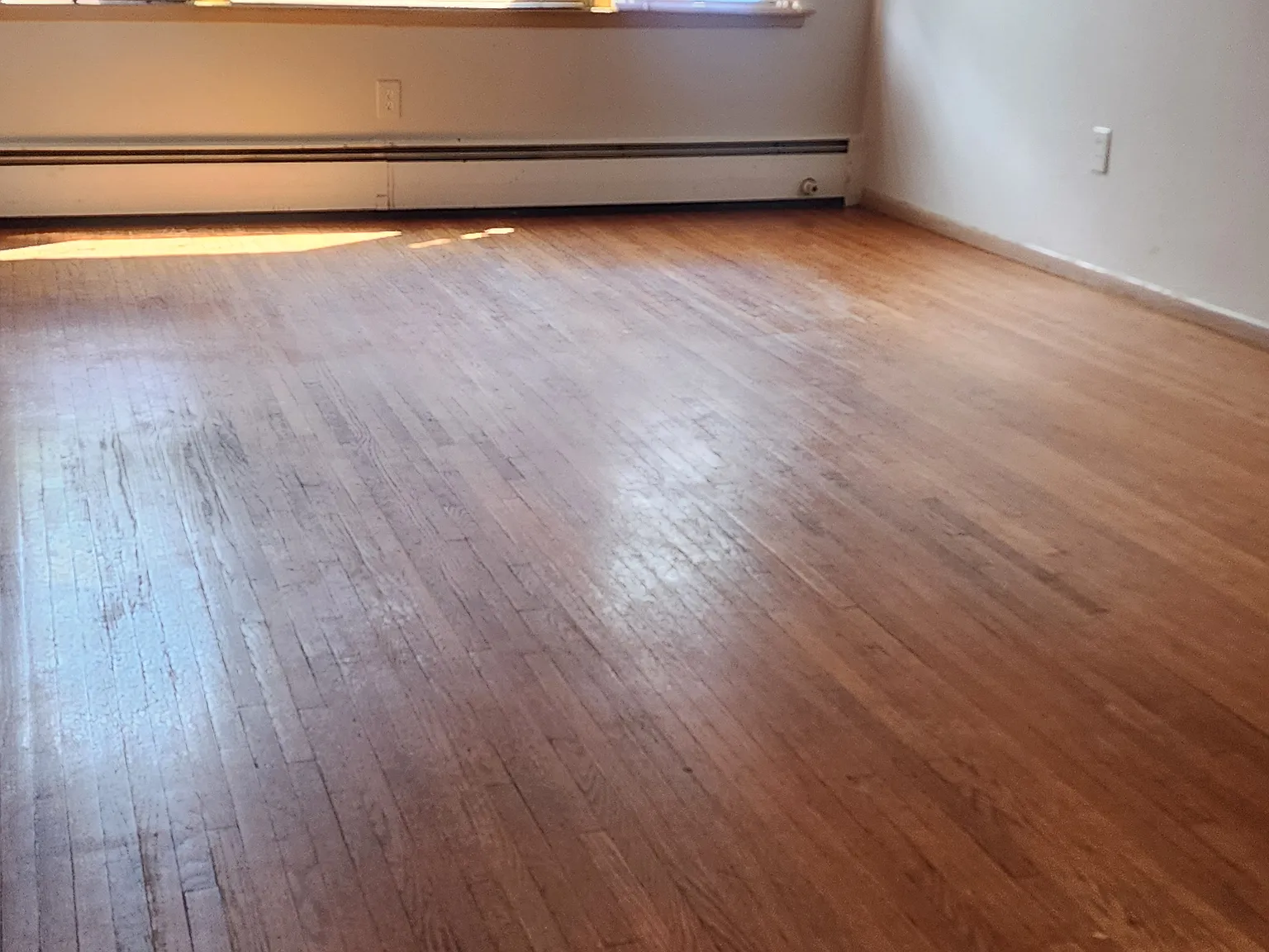 2 bed, 950 sqft, $1,299 — Photo 2