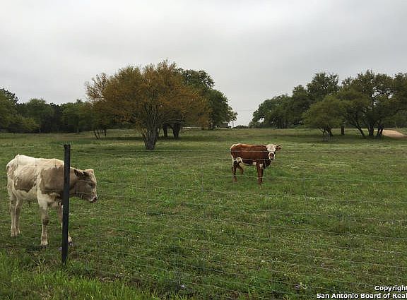 2nd image of 11335 Highway 1863