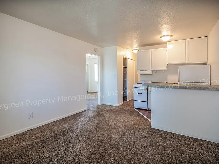 500 W Laporte Ave — Photo 64