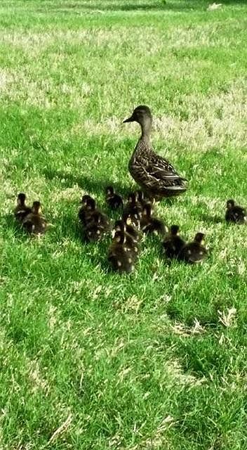 New life!