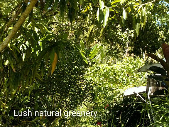 3 Lush natural greenery