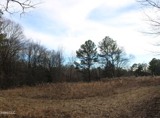 700 Rabbit Ridge Rd, Red Banks, MS 38661