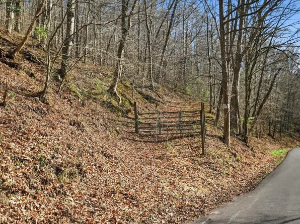 0 Guthries Greene Rd, Bulls Gap, TN 37711