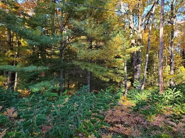 0 Scenic River Dr, Alger, MI 48610
