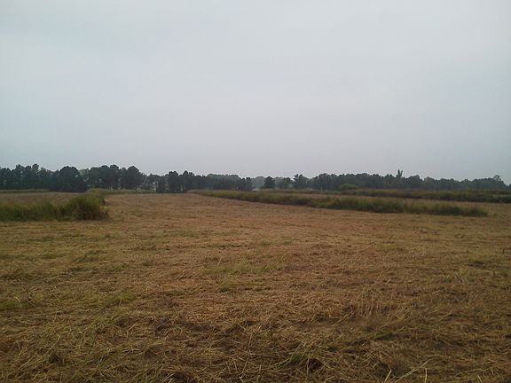 3rd image of 45 Acre Farm