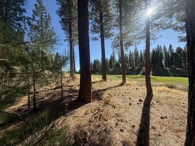 211 Bird Of Prey Ln, Portola, CA, 96122