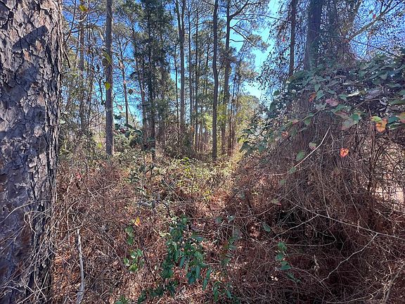 5th image of 22671 Dogwood Trl