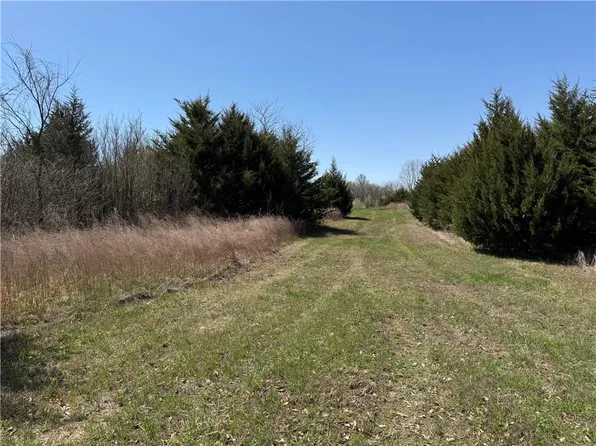 Bethel Rd, Platte City, MO 64079