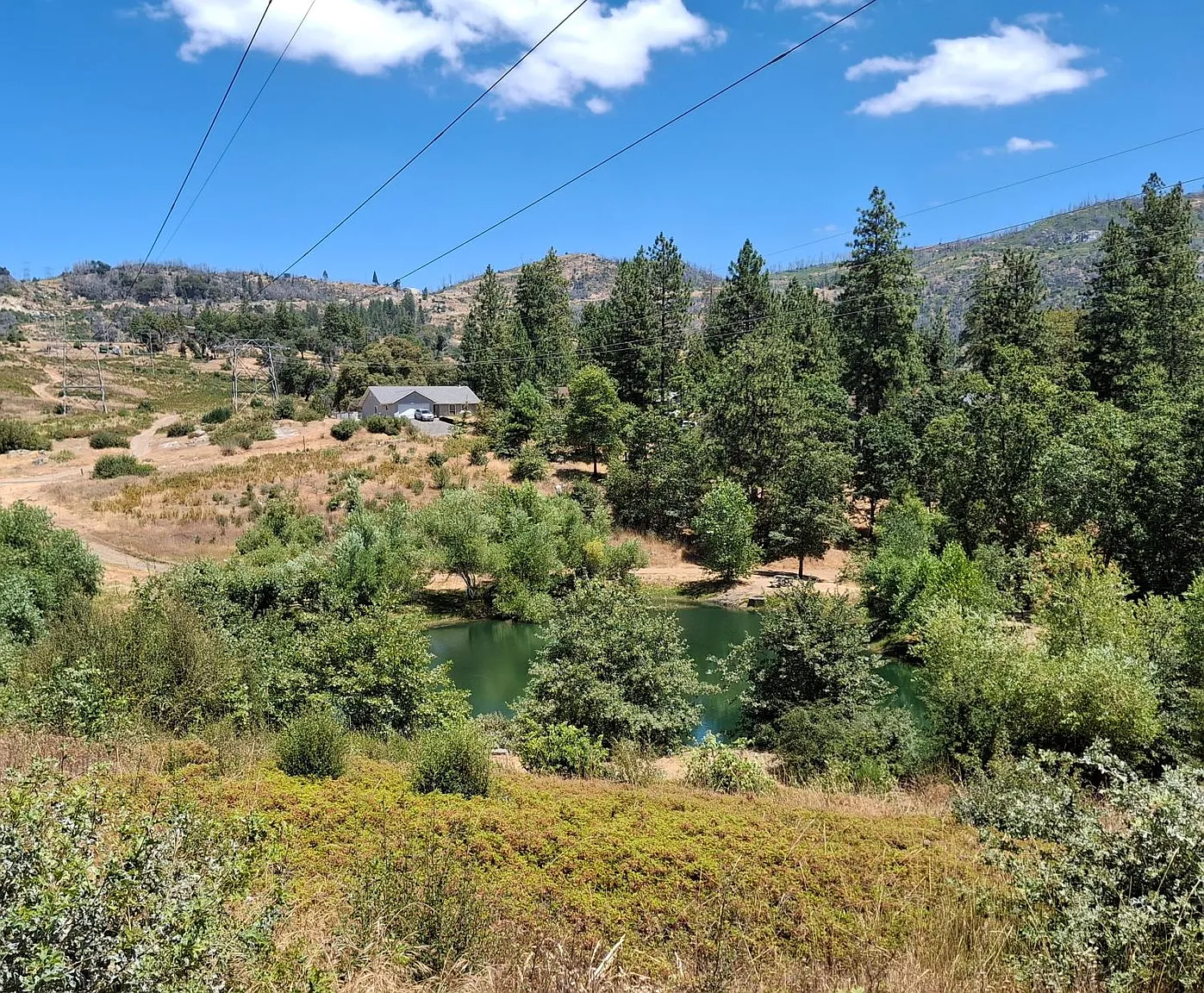 33892-33892 Shaver Springs Rd photo 1