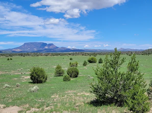 1 Frontier Trl #17-18, Datil, NM 87821