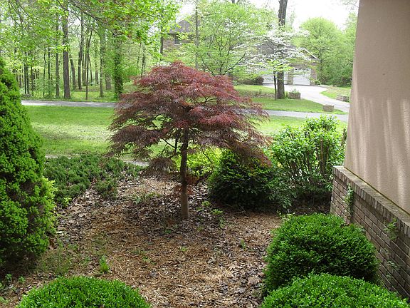 4th image of 6 Pine Lake Dr