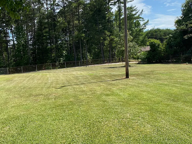 Backyard play/pet area