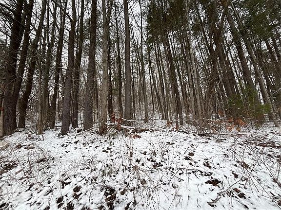 4th image of Obrien Rd N Lot 23