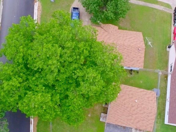 2nd image of 903 Caladium Dr