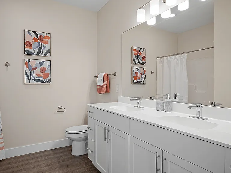 Dual-Sink Vanity