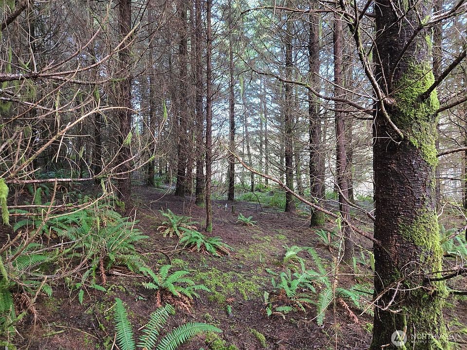 1st image of 0 End of Workman Creek Road