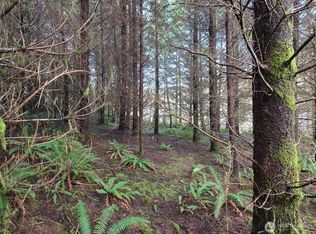 0 End of Workman Creek Road, Elma, WA 98541