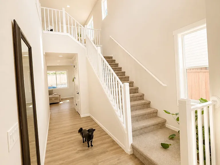 4866 Stardust Ct — Photo 4
