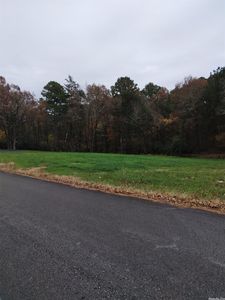 319 & 313 N High St, Heber Springs, AR, 72543