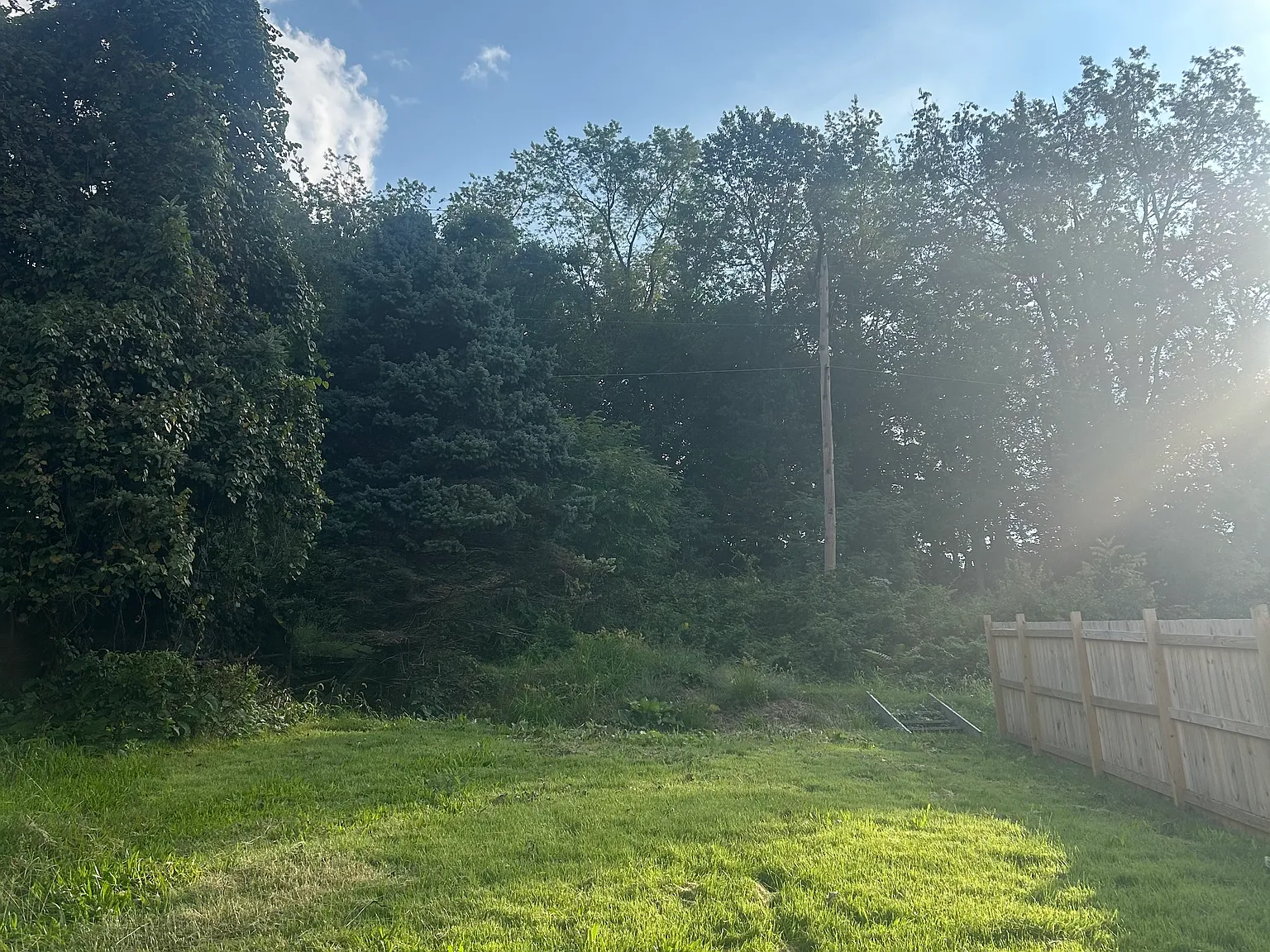 2 bed, 1008 sqft, $1,325 — Photo 3
