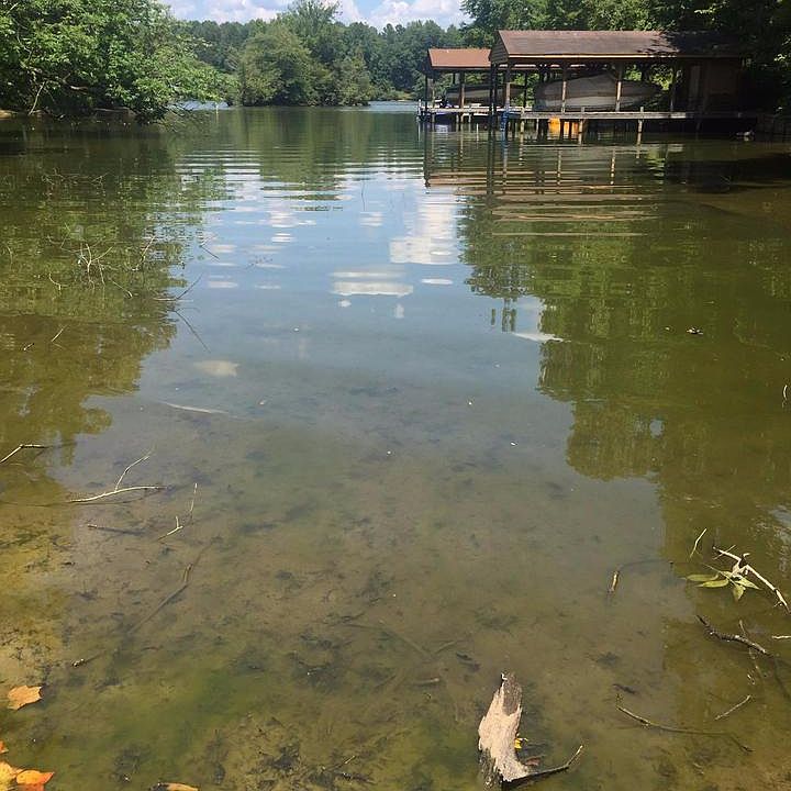 1st image of 6326 Carter Ln