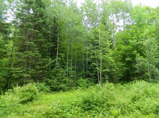 On Price Dam Rd, Winter, WI 54896
