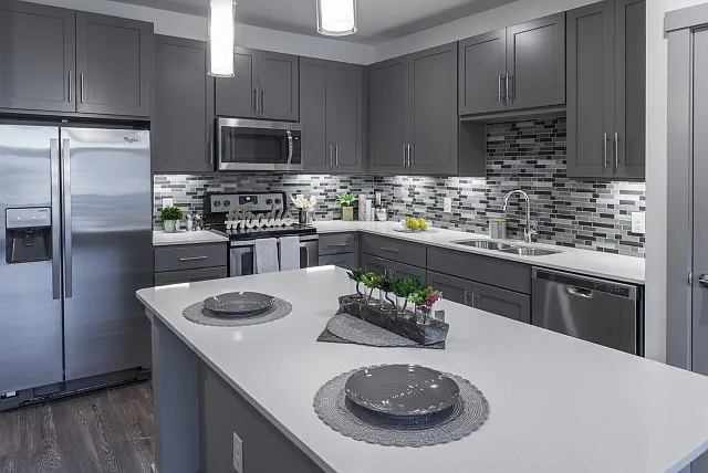 Large Gourmet Kitchen