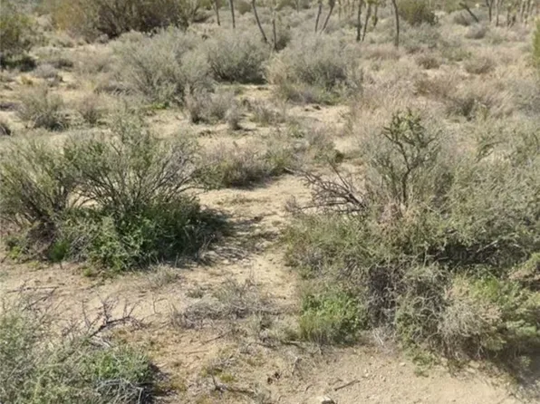 0 E Avenue Z #14, Llano, CA 93544