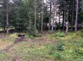 41 S Shag Lake Dr, Gwinn, MI 49841