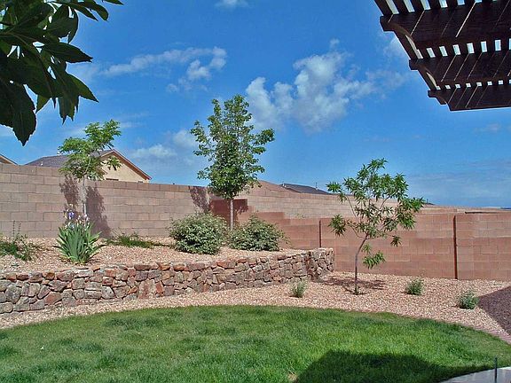 Back yard