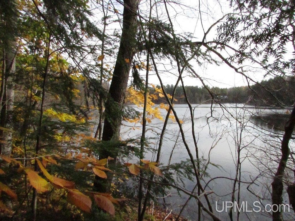 W Sister Lake Rd A1, Wetmore, MI 49895 Zillow