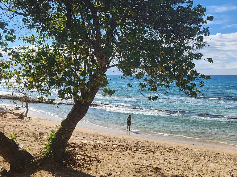 Near by Beach park