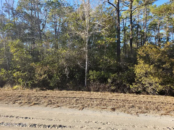 LOT 69 New Hanover Rd, Boiling Spring Lakes, NC 28461