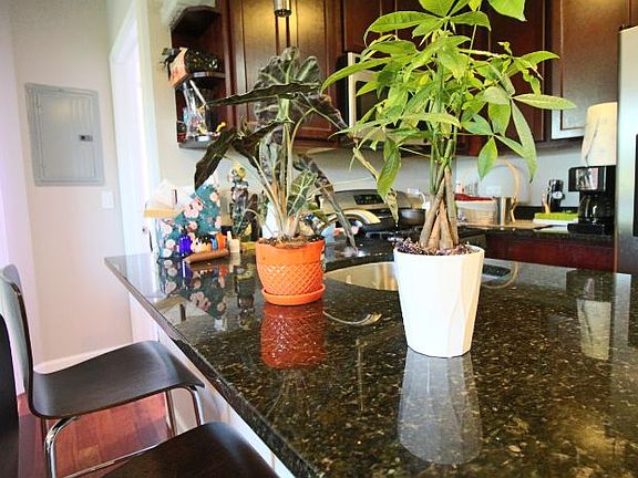 5th image of 3547 W Ainslie St APT 3